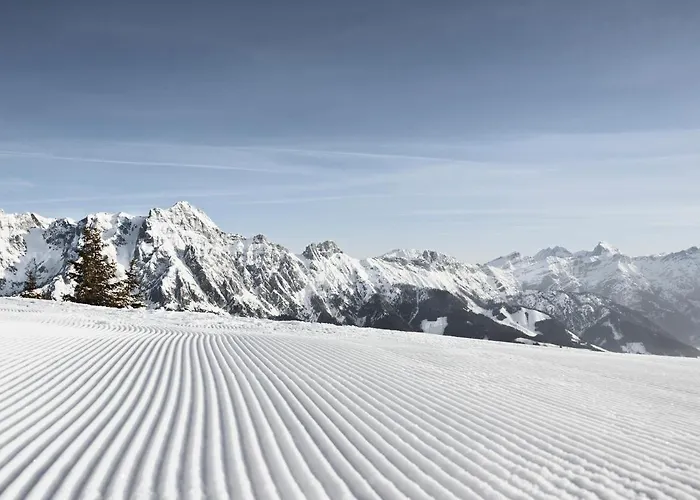 Stoeckl شقة ليوغانغ